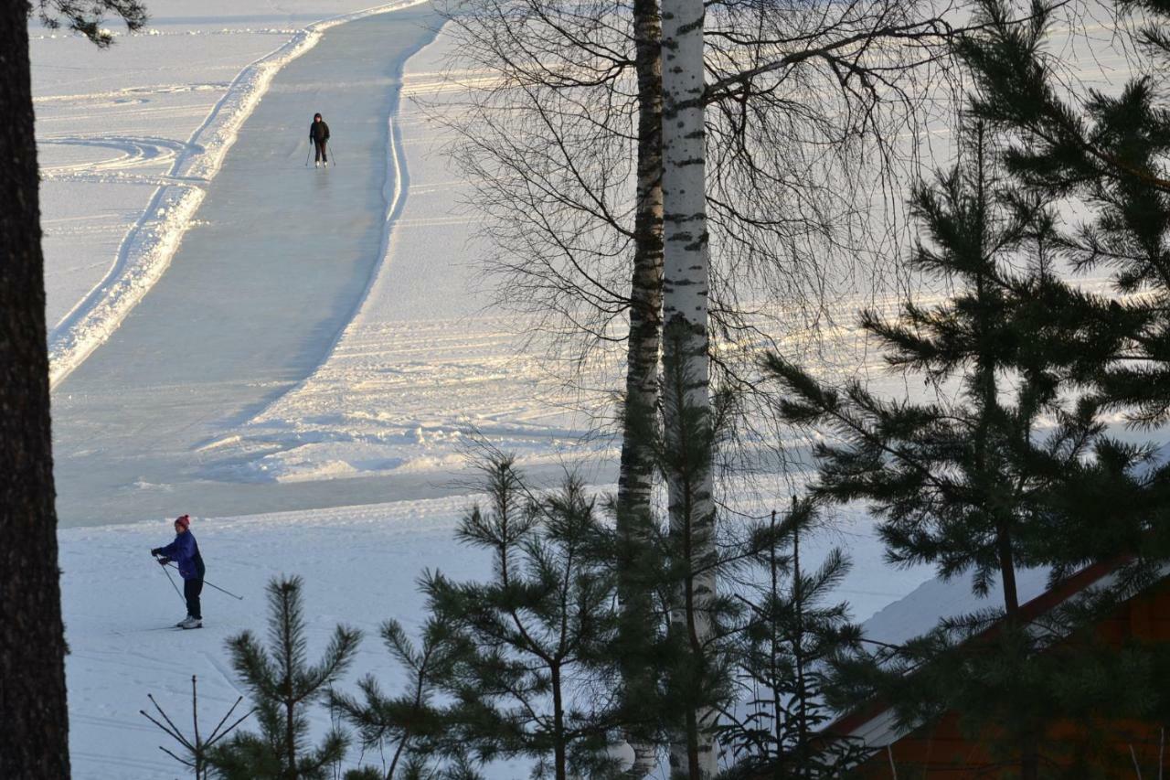 Valentin Cottage Enonkoski Eksteriør billede